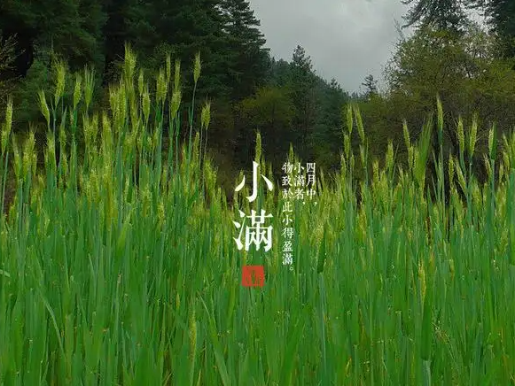 今日小滿，擎川與你一起靜待美滿！